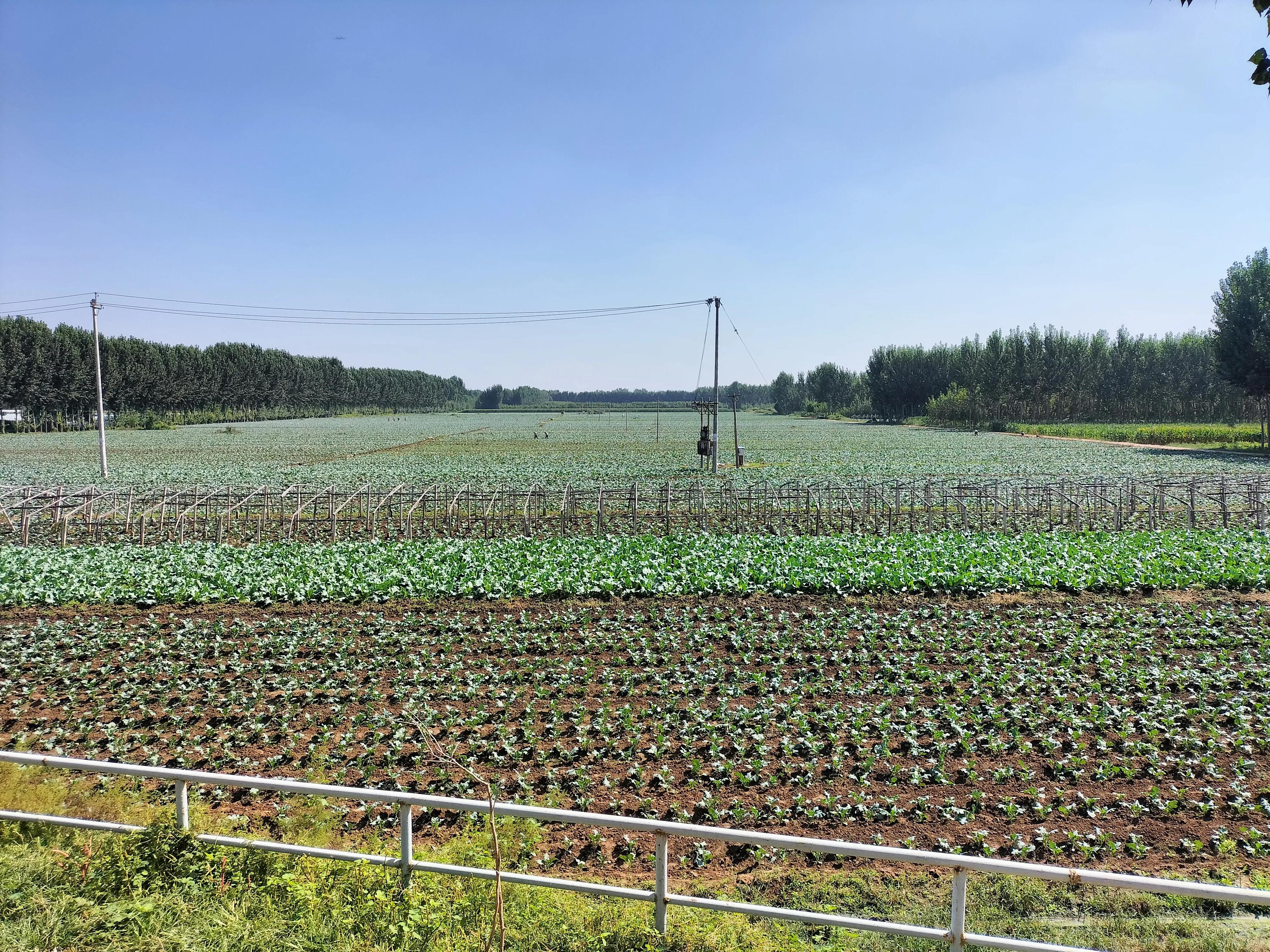 采访记录表模板,采访记录表四年级下册