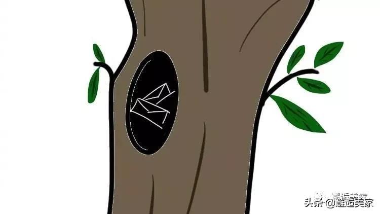 「邂逅树洞君」如果没有人为你停下脚步，我愿做你的树洞