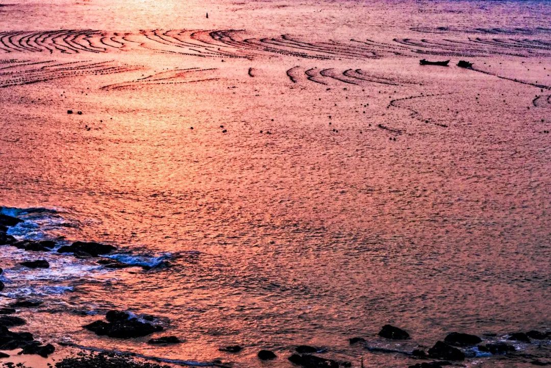 美过三亚!比厦门浪漫!中国这座海滨老城,去一次相当于环游世界