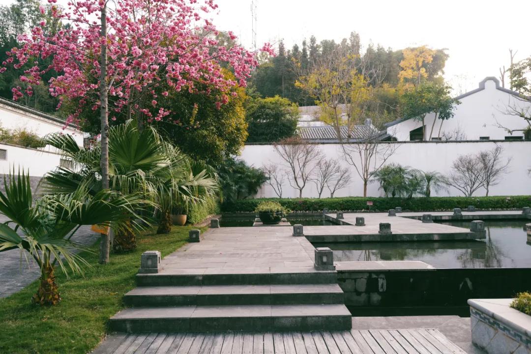 想泡温泉去哪个城市,想泡温泉不妨到成都这里来