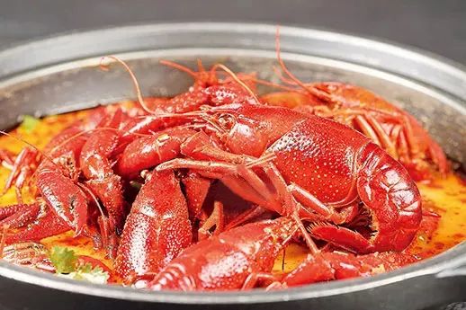 棣欒荆灏忛緳铏炬渶姝ｅ畻鍋氭硶,浜旈灏忛緳铏剧殑鍋氭硶瑙嗛