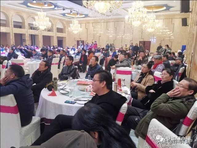 深圳摄影俱乐部活动,新意摄影俱乐部