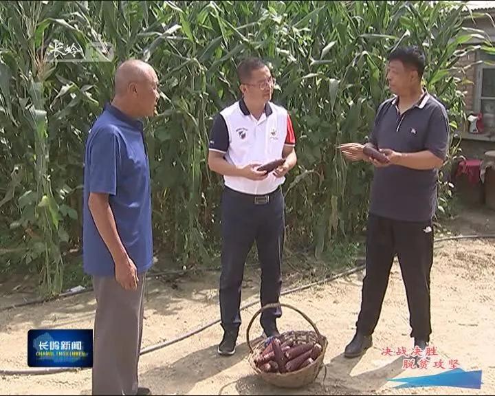 新安所镇乡村振兴,新安乡村振兴