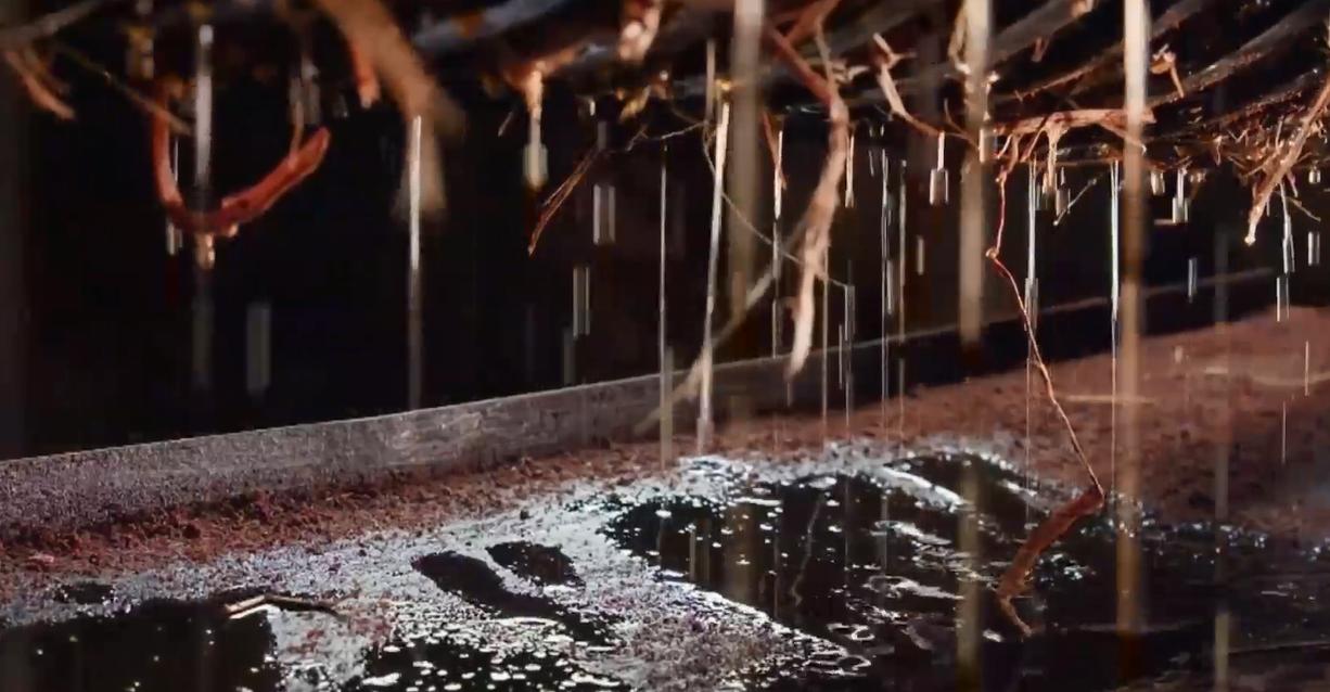 新型全自动大型榨油机全套,小型商用榨油机现榨现卖