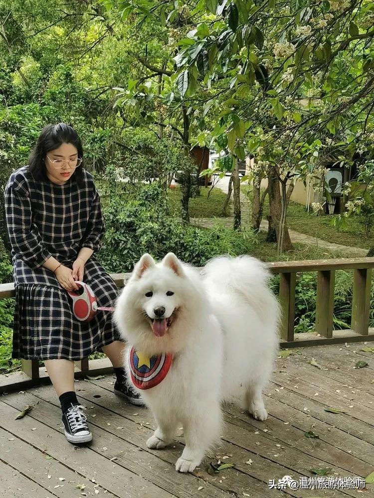 洞头桃源里,温州洞头玖栖海上桃源里