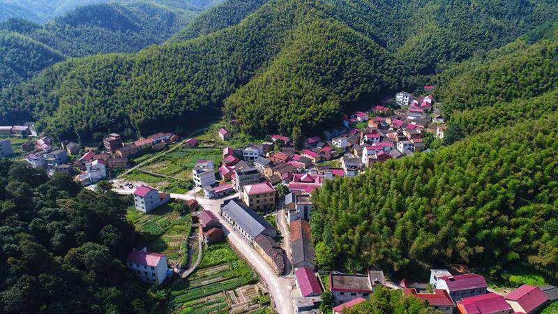 长跑18年,从此“大田”是故乡