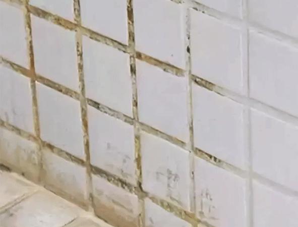 马桶边缘漏水修补胶发霉怎么清理,马桶底部玻璃胶发黄发霉怎么处理