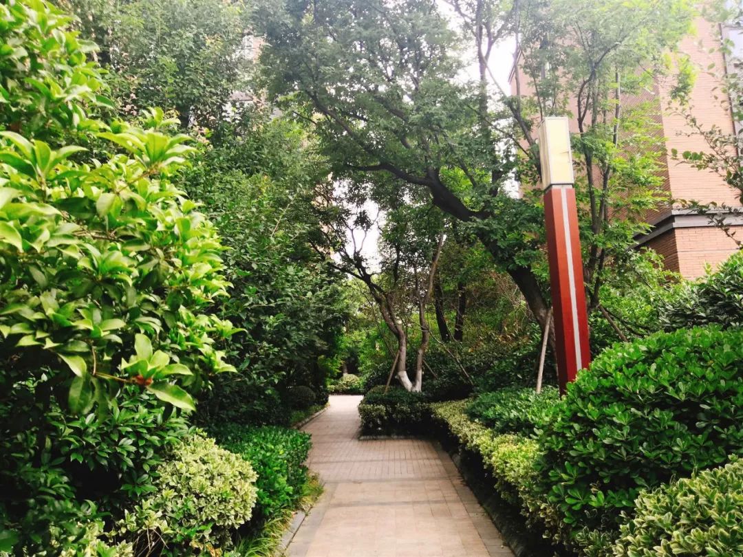 徐州1万左右房子,徐州单价1万湖景房