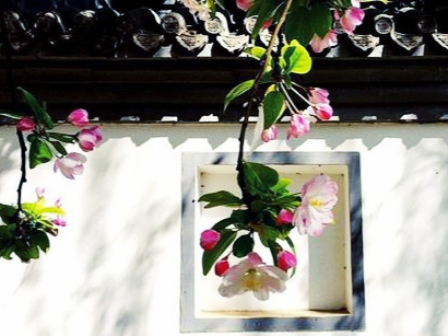 山有木兮木有枝是出自哪首古诗,被曲解的诗句山有木兮木有枝