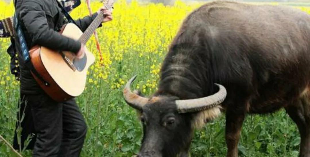 不要和愚者争论快乐的秘诀,保持快乐的秘诀不和愚蠢的人争论