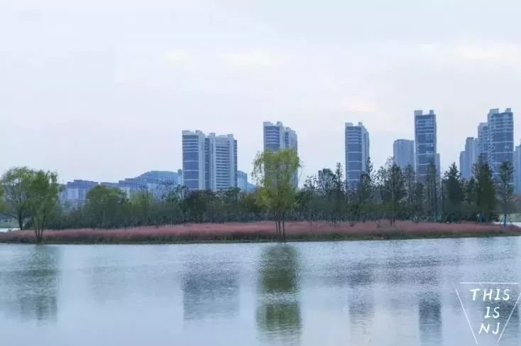 免费公园南京,南京江北免费公园