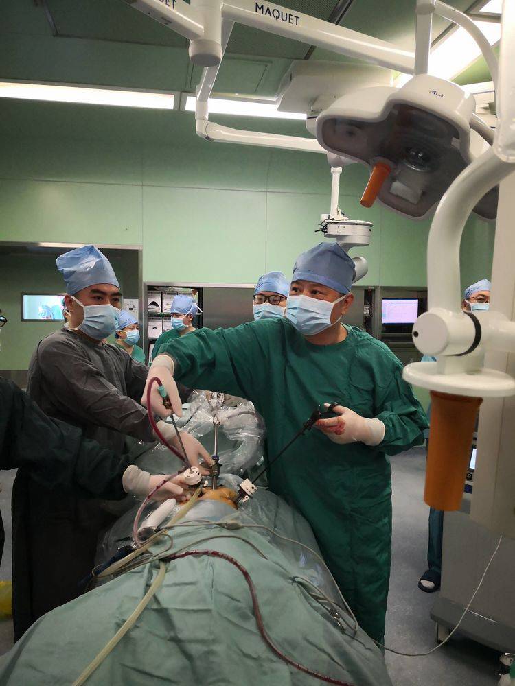 全国第27届泌尿外科学术会议,2024年全国泌尿外科年会