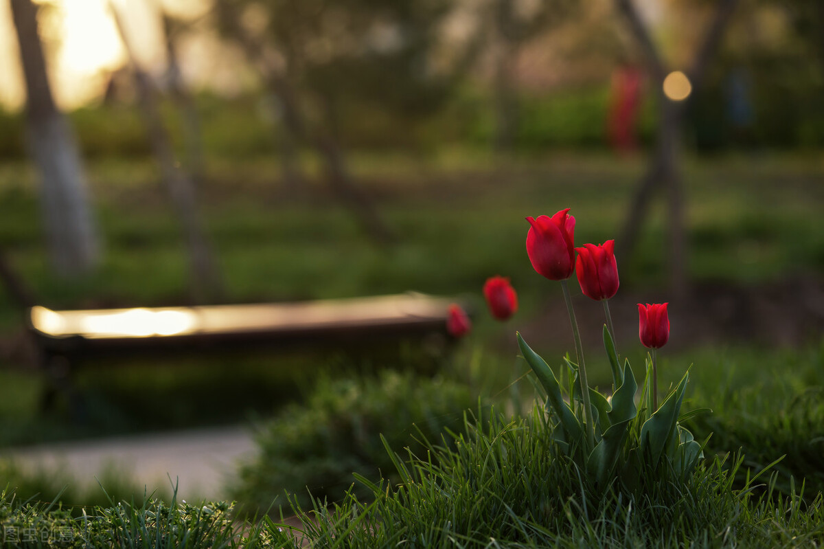 看清一个男人的真心这三点就够了,看清一个人三点就够了
