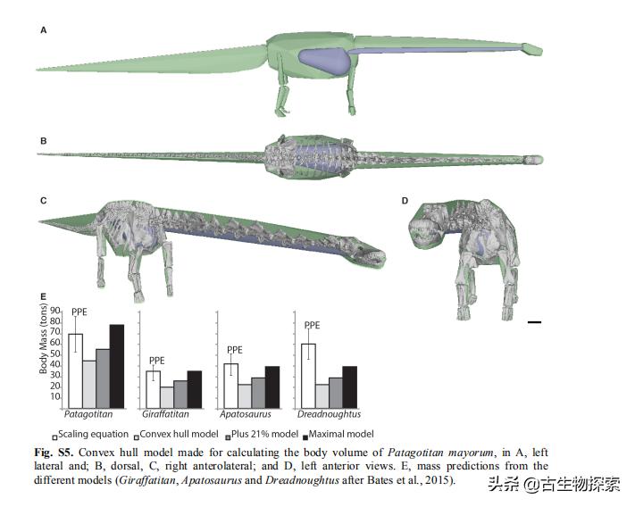 恐龙重达几吨奔跑速度多少,比较恐龙的大小可以从几方面比