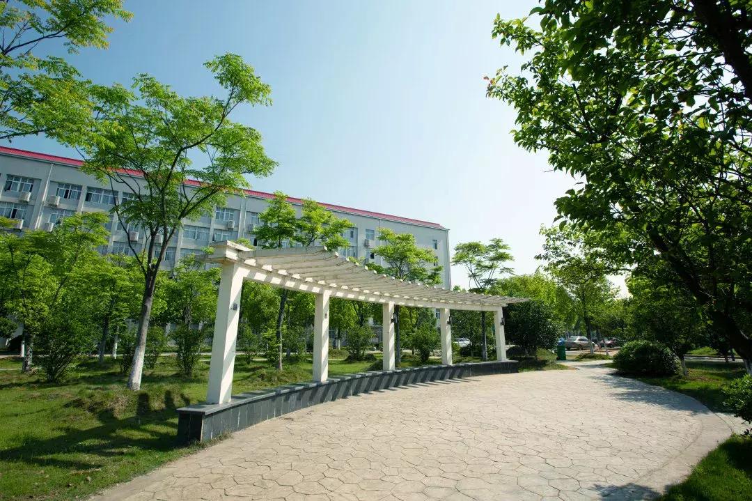 19赛季萌新,19级原神萌新攻略