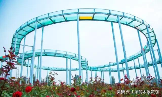 自驾游山东日照网红打卡旅游攻略,东夷花仙子美景