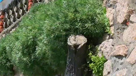 人均1000不到，3天2夜玩转人间美岛，再不来你就out了