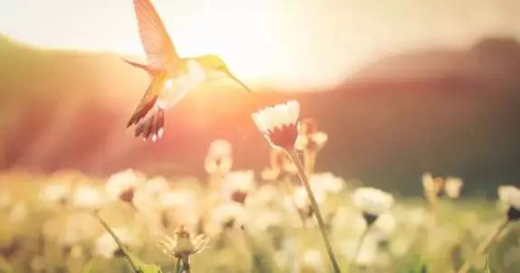 让身体越来越好的咒语,让身体恢复健康的咒语