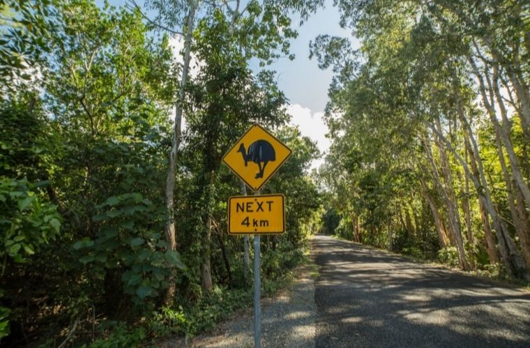 婢冲ぇ鍒╀簹鏃呮父鍏矾,婢冲ぇ鍒╀簹鑷┚娓歌鐣呮父鍏矾
