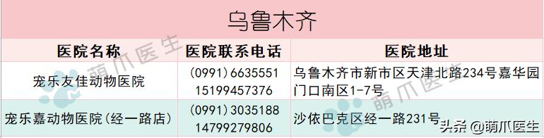 宠物医院必看,不坑的宠物医院推荐