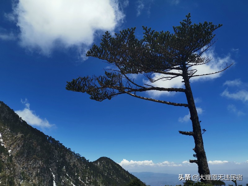 大理苍山一日免费游详细攻略,大理苍山旅游攻略自由行