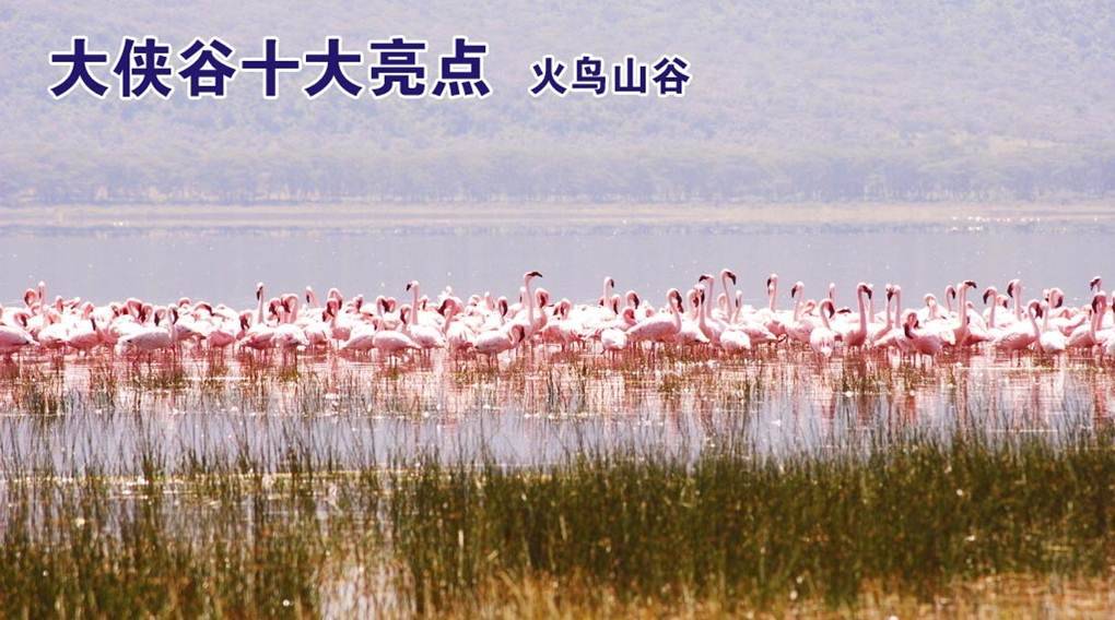 中秋去哪？住深圳东部华侨城+早餐无限次茶溪大侠谷+华兴寺仅1188