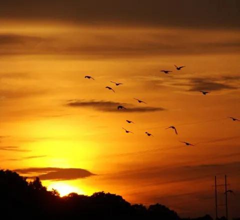 人情淡薄世态炎凉,人情淡薄世态炎凉的社会