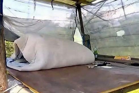 普法:江西53岁大爷被性侵案,刑法修正案九实施前后的代表性案件