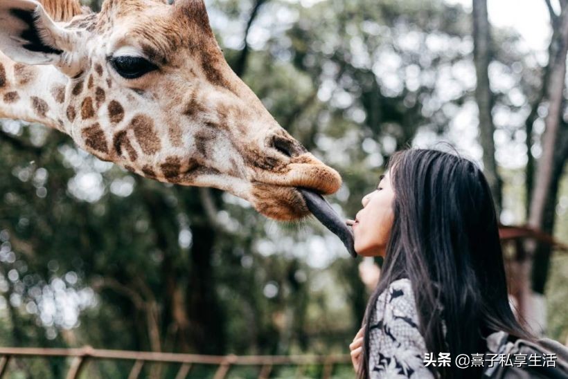 环游世界夫妻赚了十个亿,情侣环游世界视频