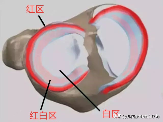 膝关节疼痛需不需要重视,膝盖疼痛不要忍