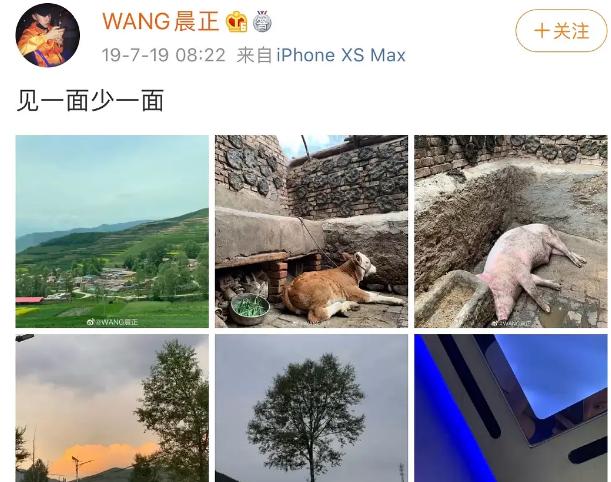 变形计主人公现状如何,变形计主人公现在照片