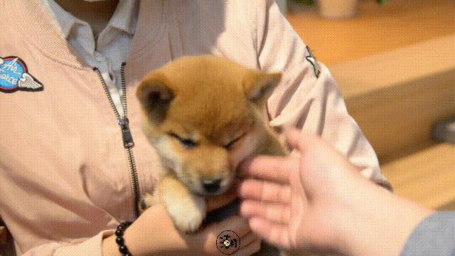 海尚MALL「花漾百出」攻略全曝光，扫货/美食/抽奖一个都不少