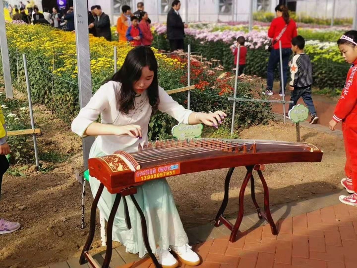 开封通许39届菊花文化节开幕式,2022年开封菊花文化节开幕式