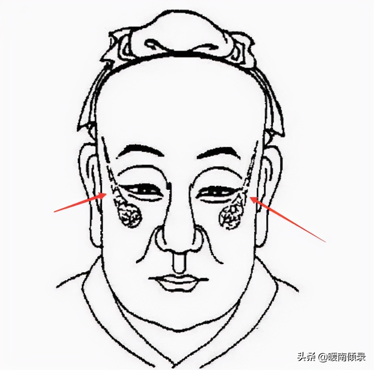 头生九龙骨,头生九龙骨是什么样