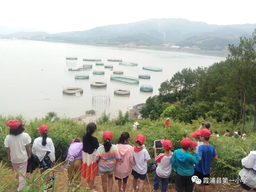 霞浦一中高一新生夏令营,霞浦县夏令营