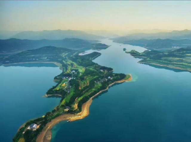 湖库野钓鲫鱼用什么饵料最好,堵塘钓鲫鱼用什么饵料