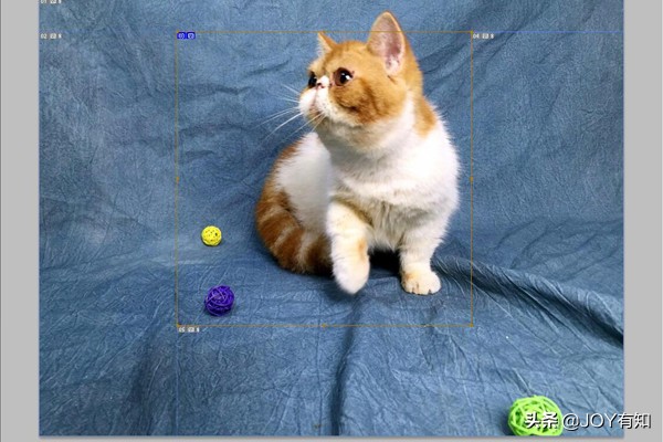 ps如何用切片工具切片,ps切片怎么移动位置