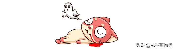 驱虫药危险吗,驱虫药内服有毒吗