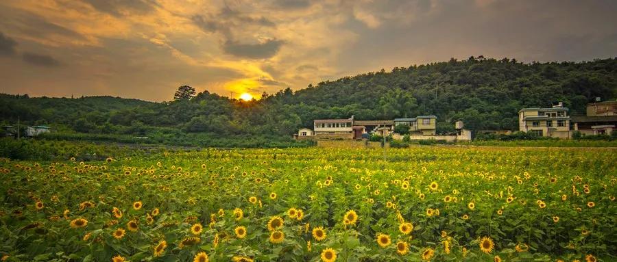 借两万元创业年收入500万大结局,借1000万的现金回本赚钱的生意