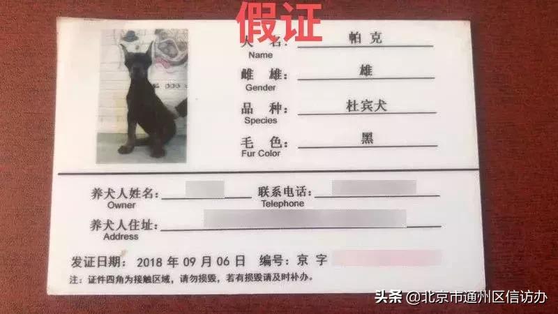 网上办犬证需要钱吗,办狗证中介北京
