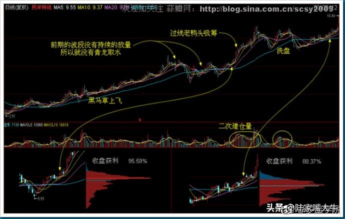 筹码分布战法全套讲解,筹码分布运用详解大全