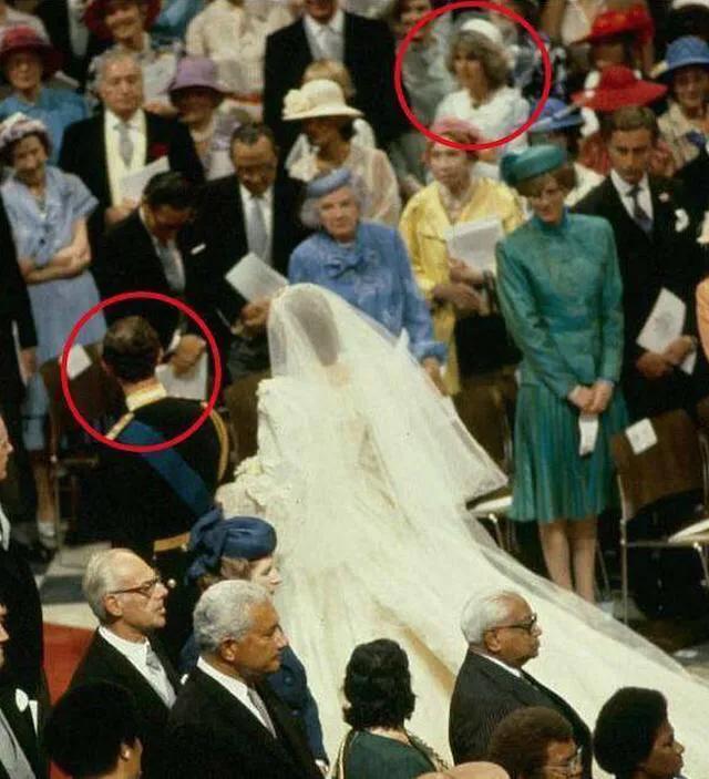 她是永远的“英伦玫瑰”，赢得了全英国的尊重，却输给情敌卡米拉