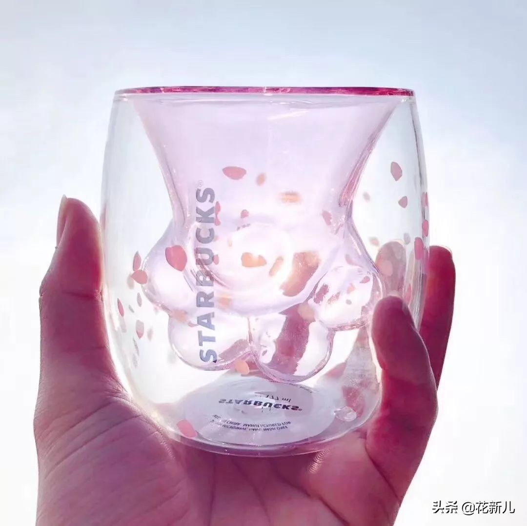 猫爪杯智商 (猫爪杯是不是智商税)