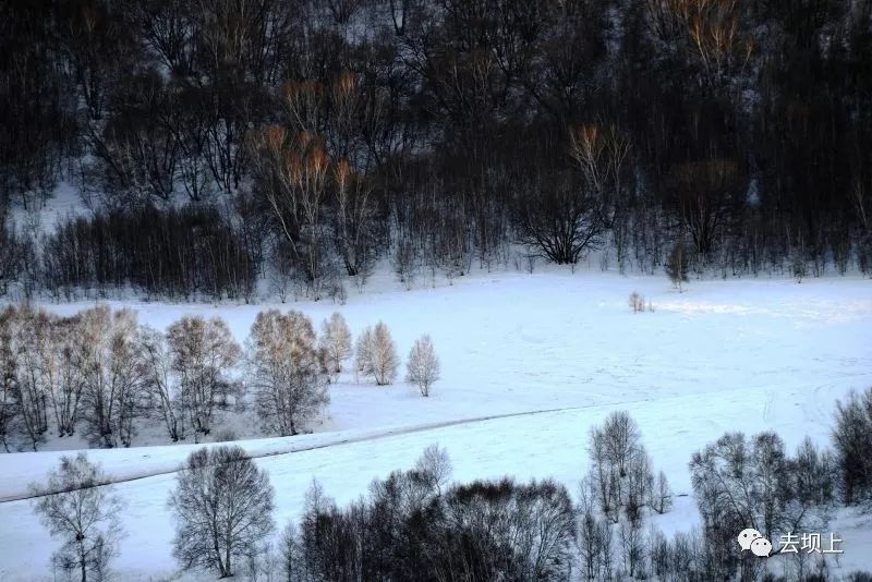 坝上摄影攻略,坝上夏季摄影