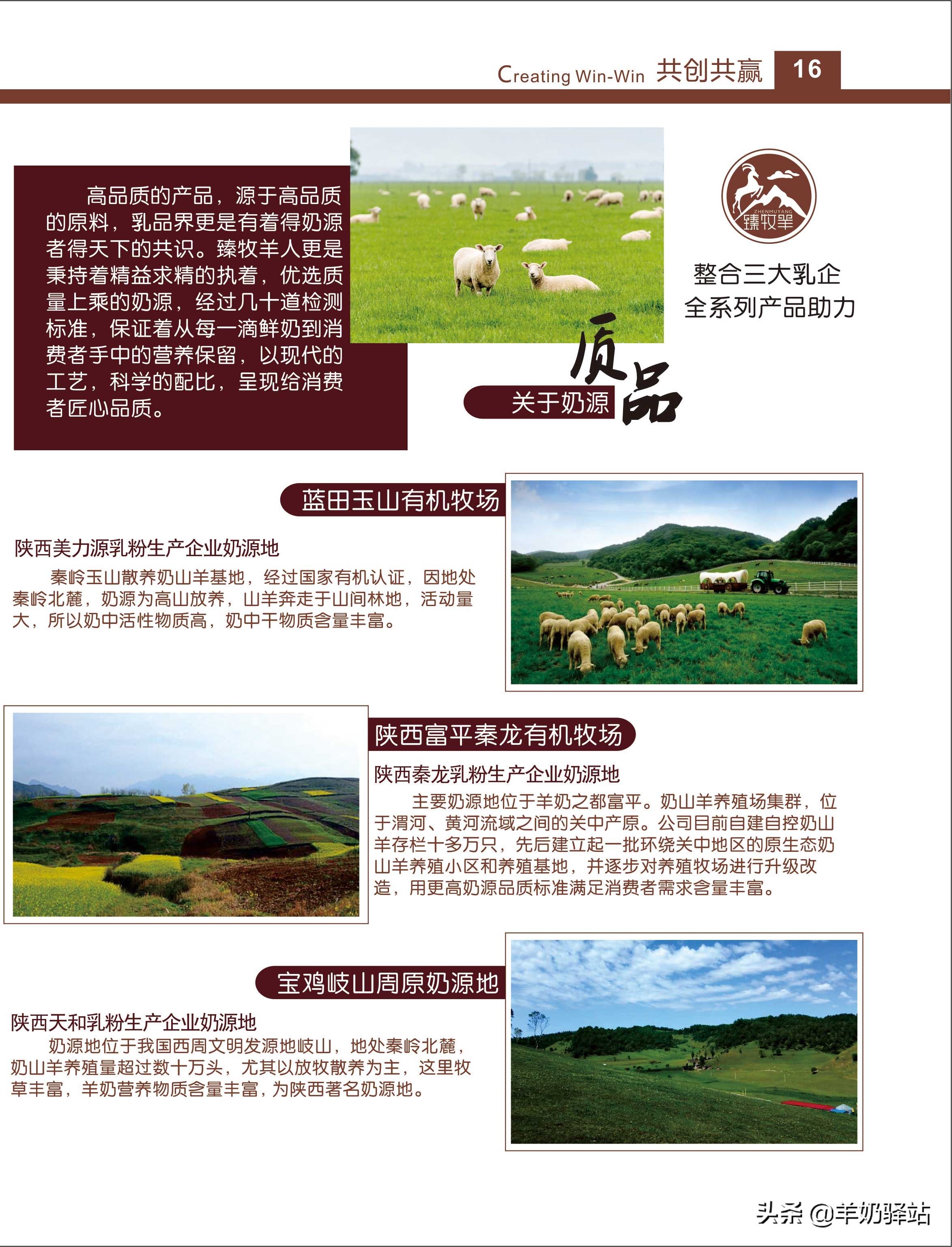 羊奶驿站加盟宣传片,羊奶驿站加盟经营模式