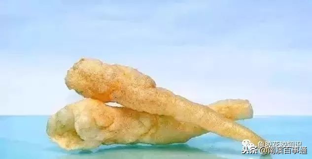 涨知识系列详解,涨知识简短