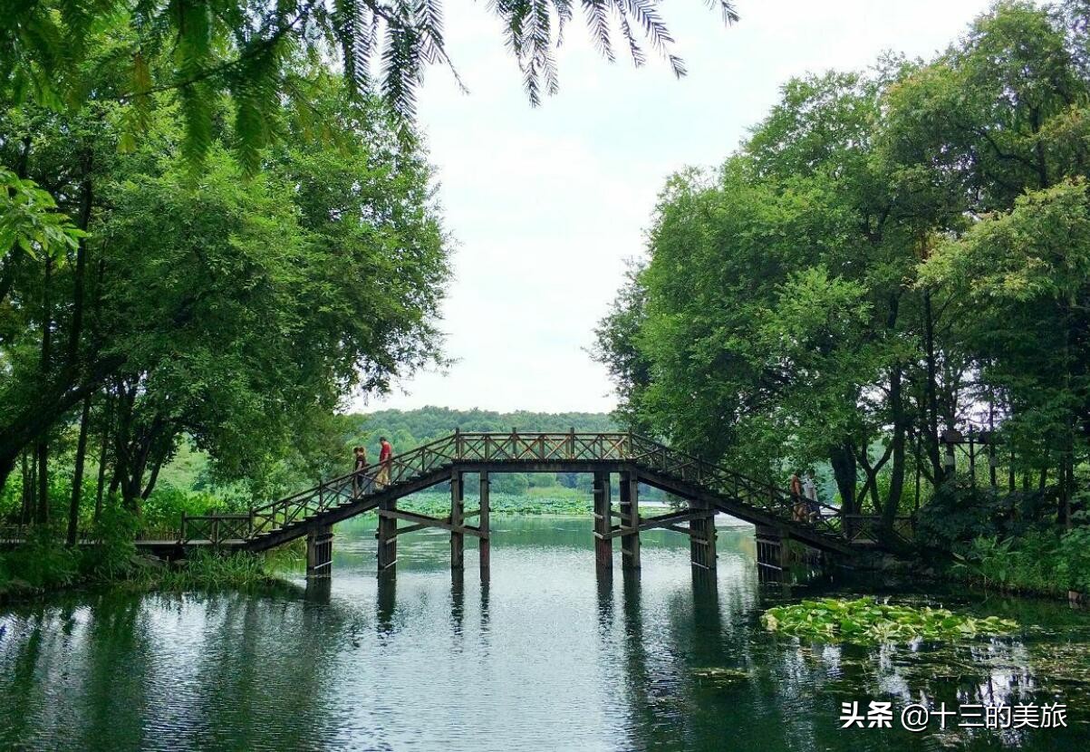美丽的杭州西湖打卡地风景如画,美翻了银杏湖