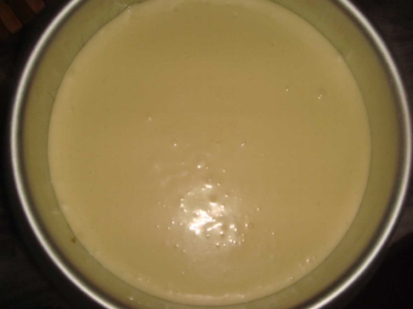 可以冰冻的蛋糕胚,可以冻着吃的蛋糕