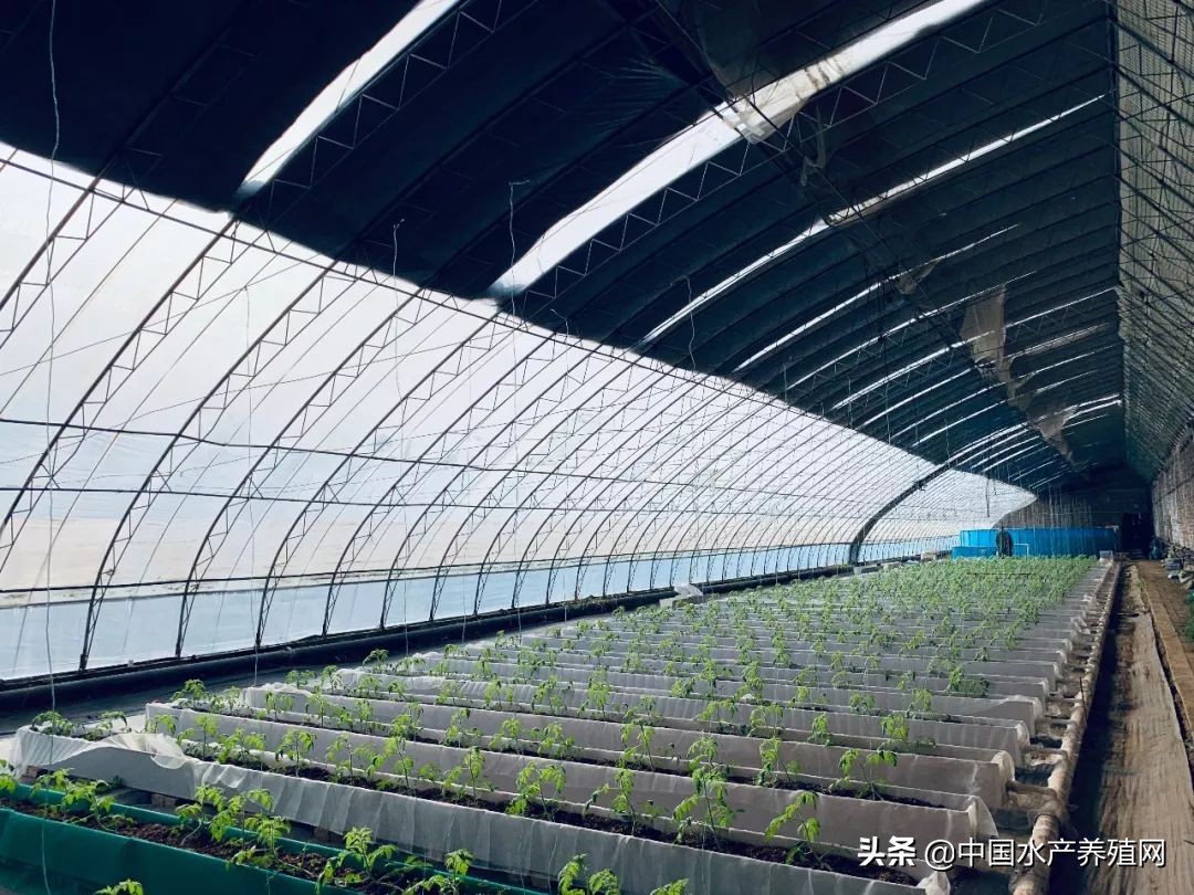 节水节电绿色低碳,节水节电低碳减排