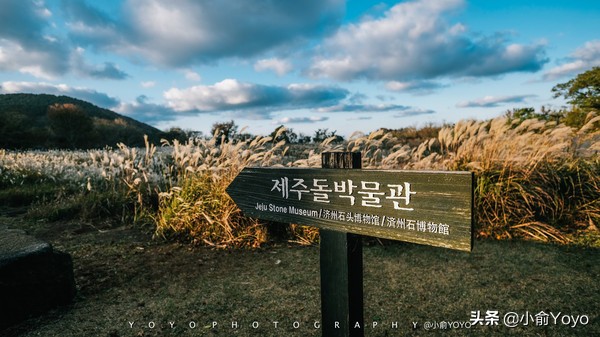 济州岛最值得去的地方,来济州岛第一天去哪玩
